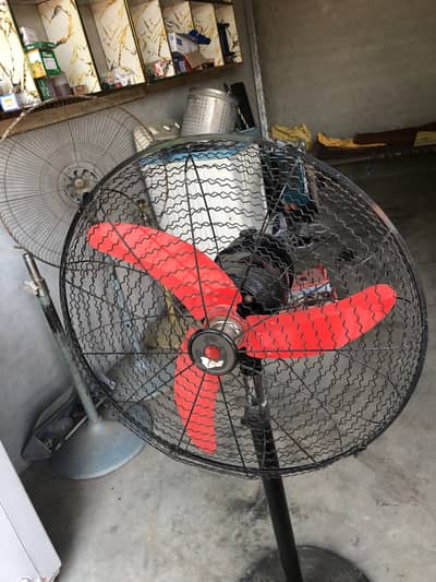 12 volt  farshi fan : AC/DC