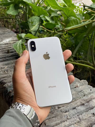 Apple iPhone X