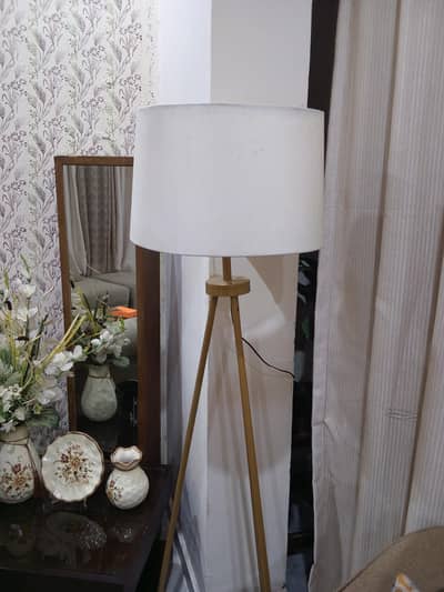 Floor lamp in Good Condition