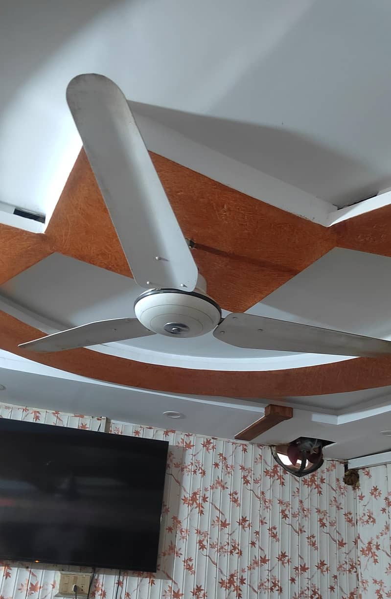 ceiling fan 1