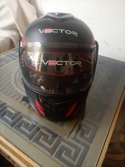 Vector dual visor