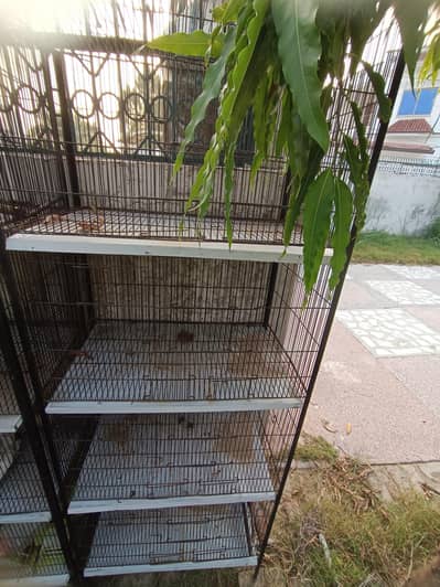 lovebird cage for sale