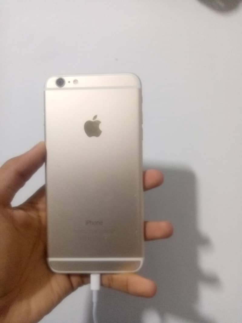 Apple iPhone 6 Plus 1