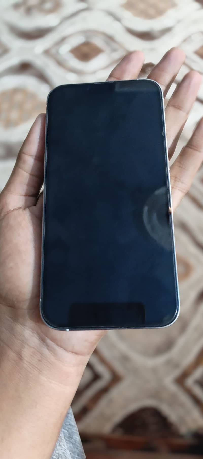 Apple iPhone 13 Pro 3