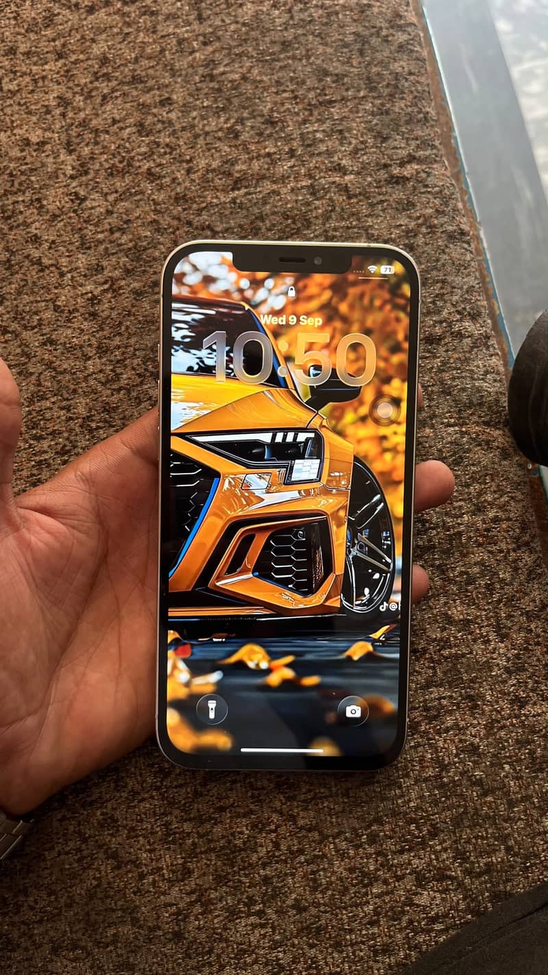 Apple iPhone 12 Pro Max 1