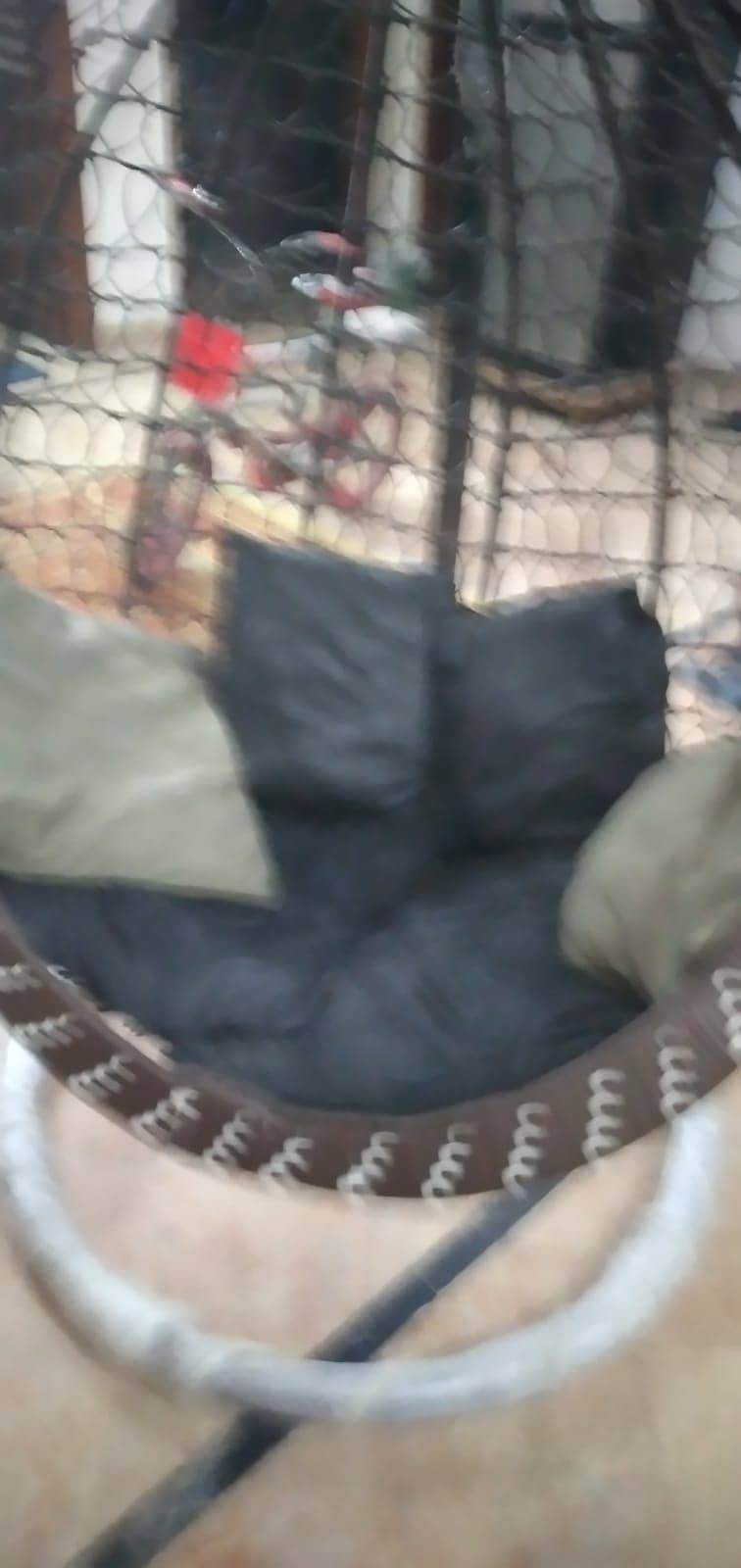 Swings 0