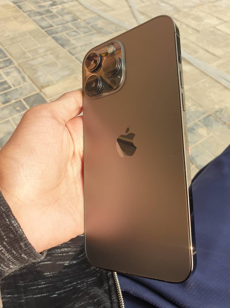 Apple iPhone 13 Pro Max 1