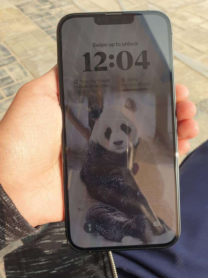 Apple iPhone 13 Pro Max 3