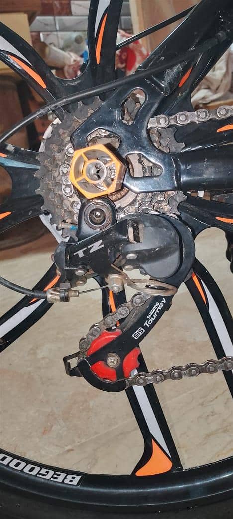 begood cycle 1
