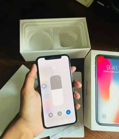 Apple iPhone X