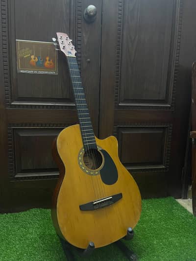 Professional Acoustic Guitar