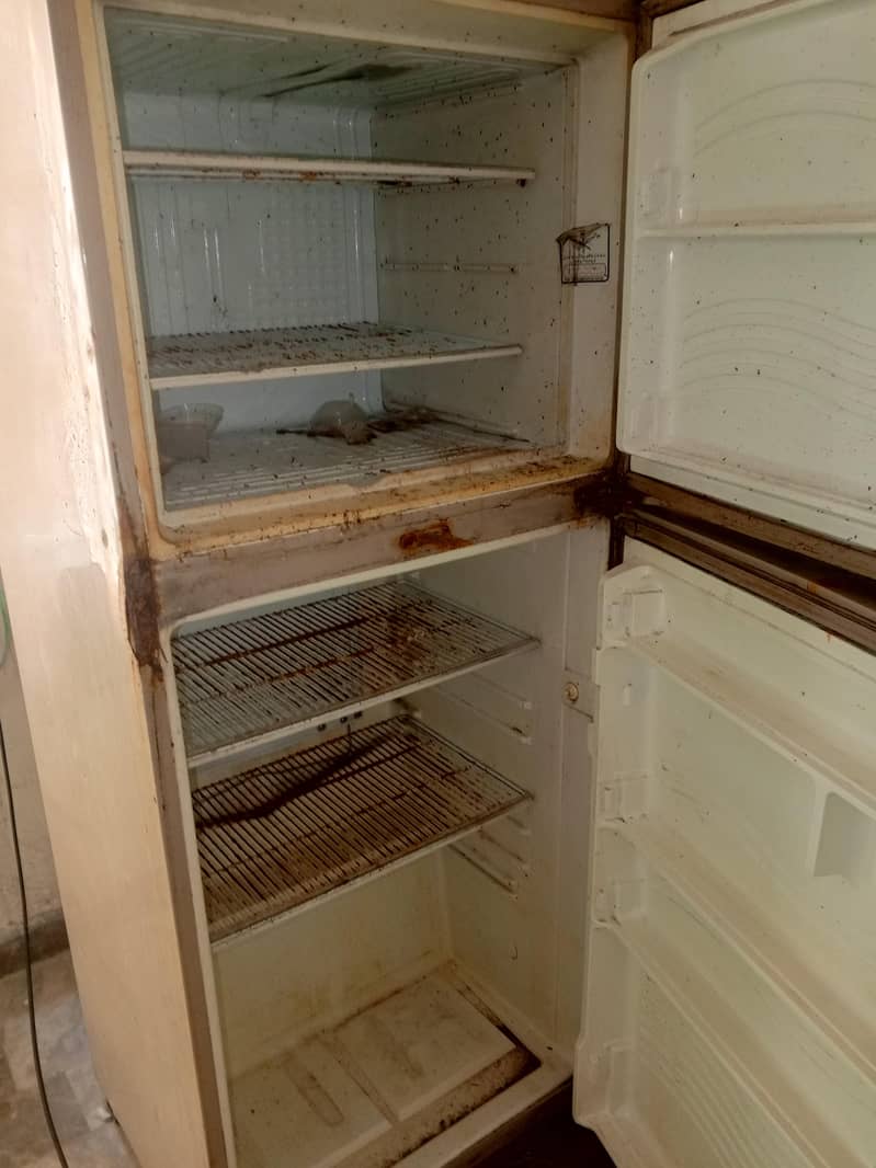 FRIDGE 1
