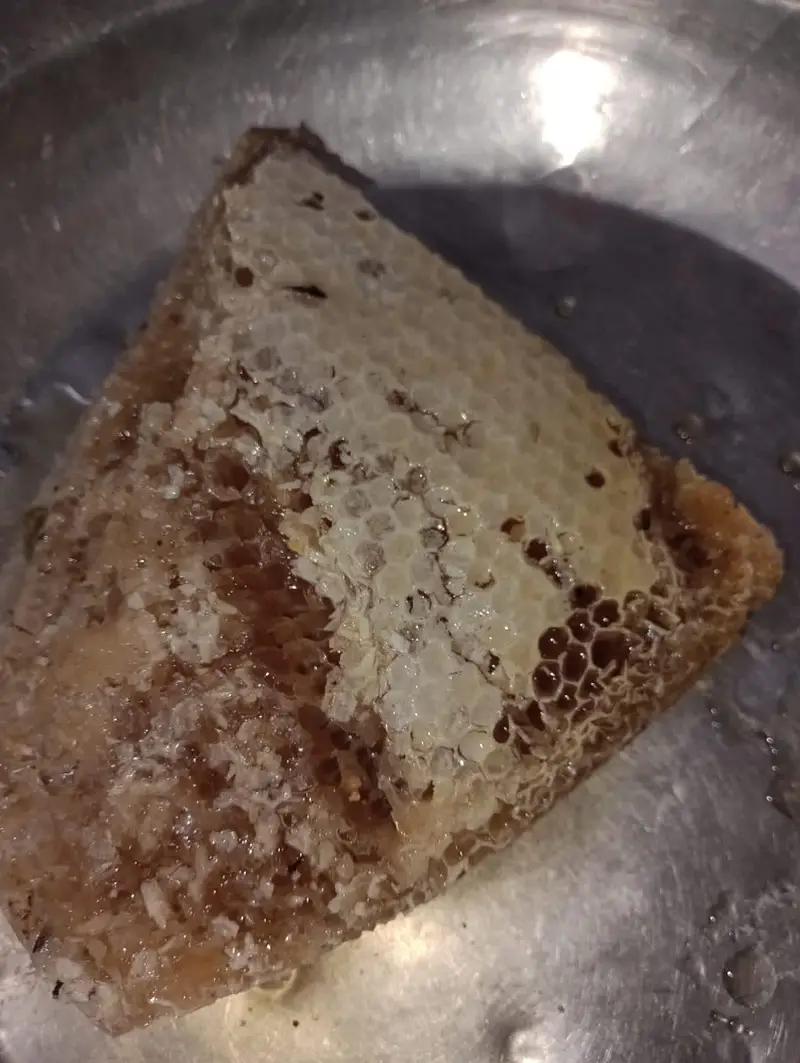 100% Pure & Organic Berry Honey (Sidr Honey) - Fresh Stock