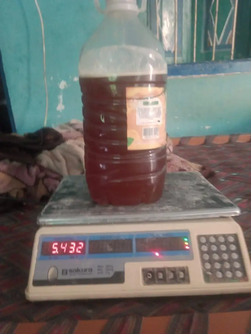 100% Pure & Organic Berry Honey (Sidr Honey) - Fresh Stock — photo 2