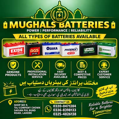 All Types of Batteries Available | Exide, AGS, Osaka, Phoenix & Volta