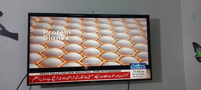 LED TV