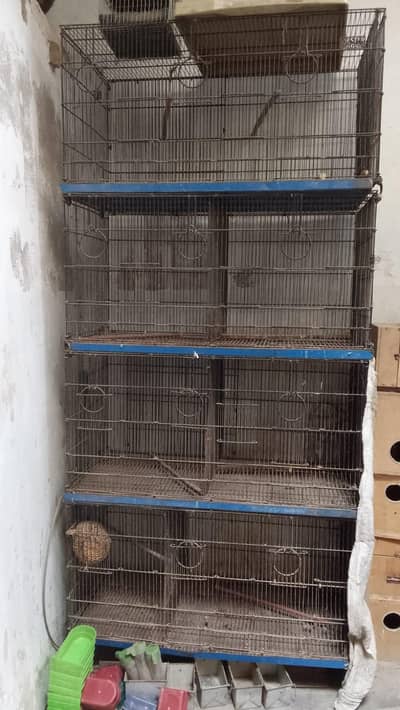 pinjra (cage)