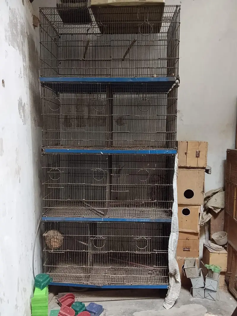 pinjra (cage) — photo 2