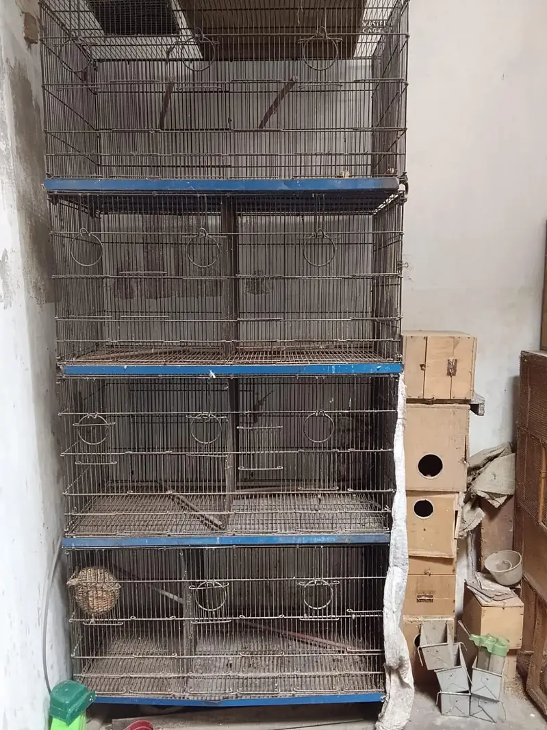 pinjra (cage) — photo 3