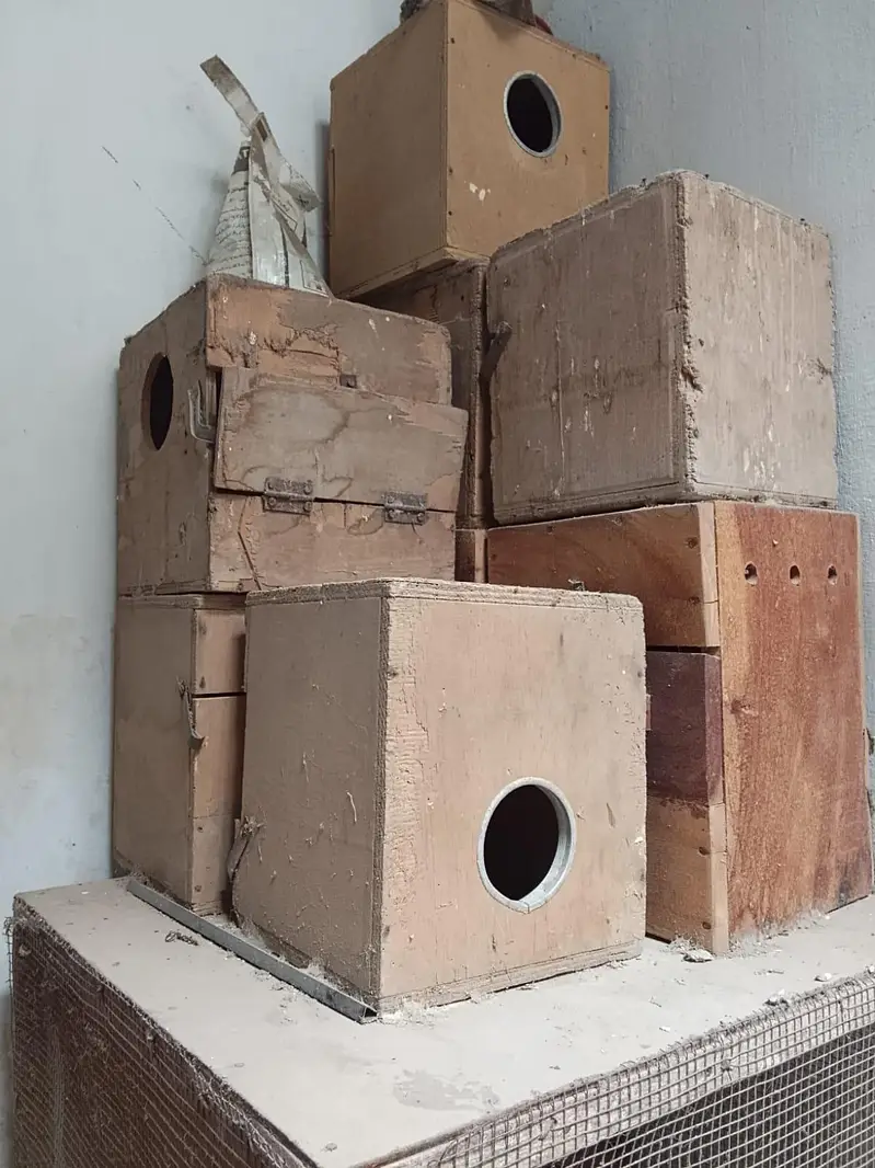 pinjra (cage) — photo 6