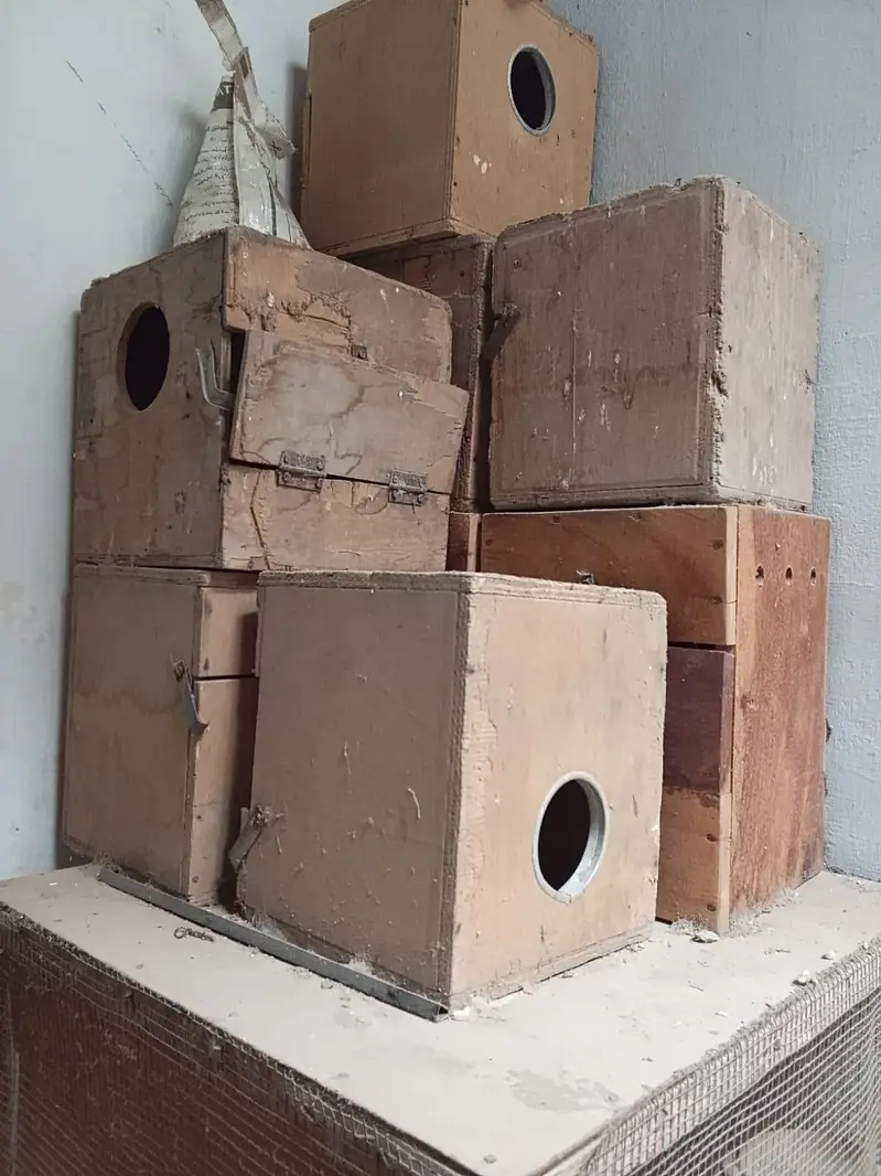pinjra (cage) — photo 8