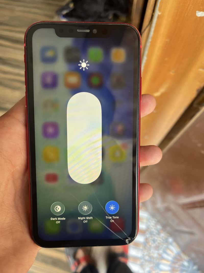Apple iPhone 11 3