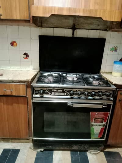 Skyflame oven