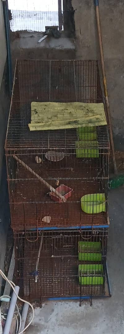 iron cage