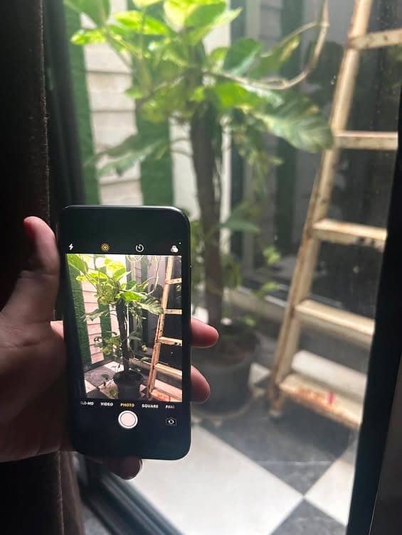 Apple iPhone 8 2