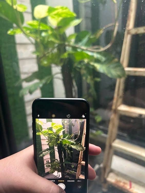 Apple iPhone 8 10