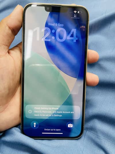 Apple iPhone 13 Pro Max