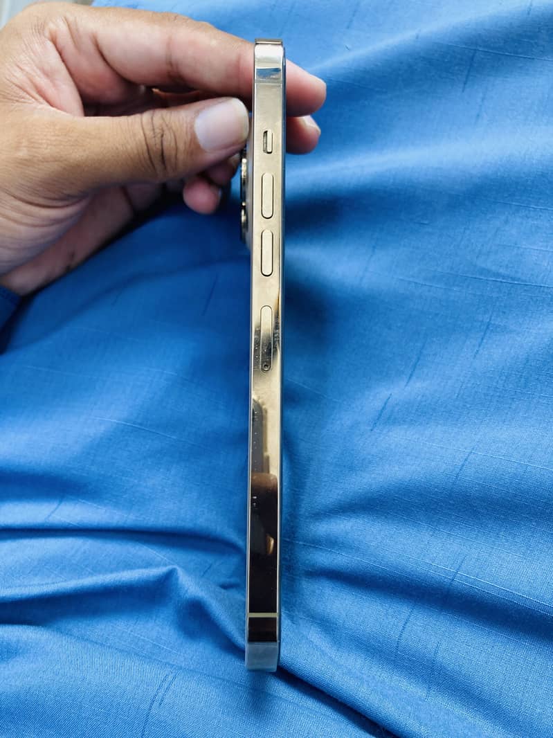 Apple iPhone 13 Pro Max 2