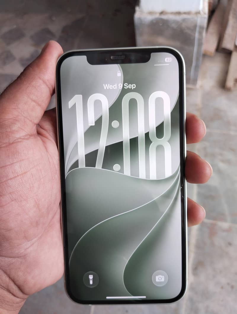 Apple iPhone 12 1