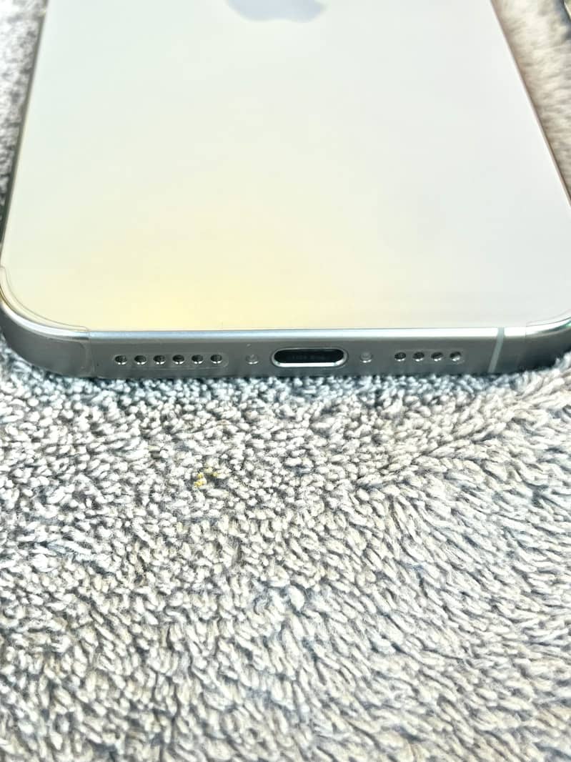 Apple iPhone 15 Pro Max 1