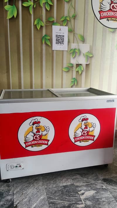 Varioline Intercool Commercial Sliding Glass Top Deep Freezer