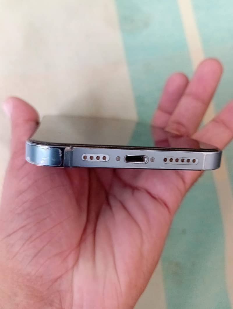 Apple iPhone 13 Pro Max 1