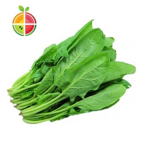 Palak (Spanish) Seeds