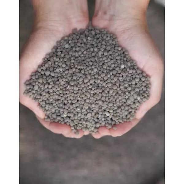 DAP 200g