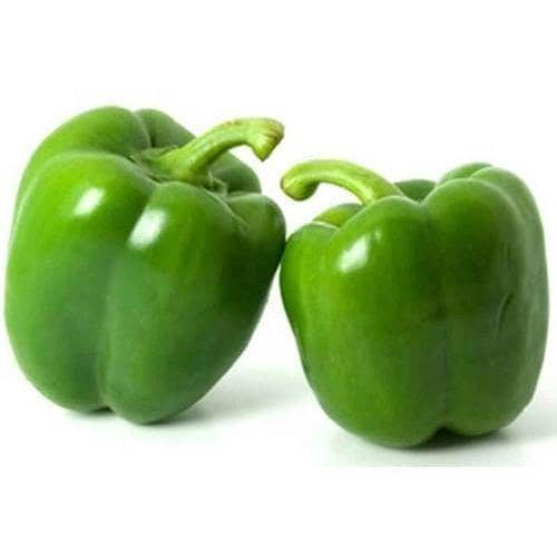 Hybrid Green  Capsicum