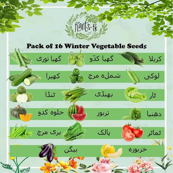 Pack of 10 or 16  summer vegetable seeds