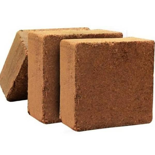 Cocopeat 5Kg Block