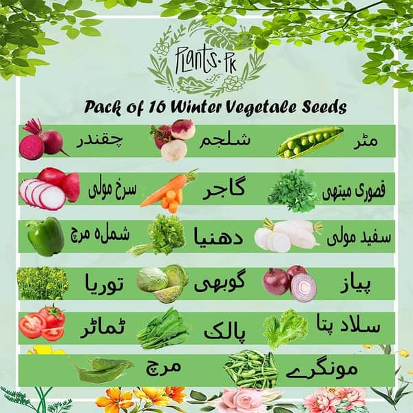 Pack of 10 Winter Vegetable Seeds