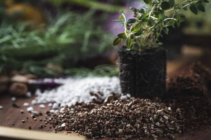 Seed Starting Potting Mix- Pack of 1,2,3,5