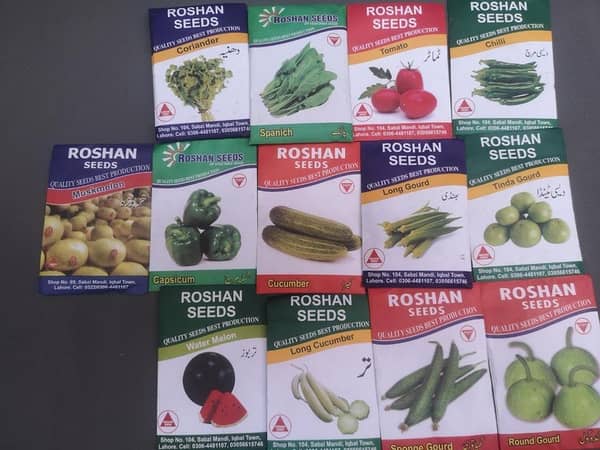 summer Vegetable Seeds Kit 13 seeds Pack