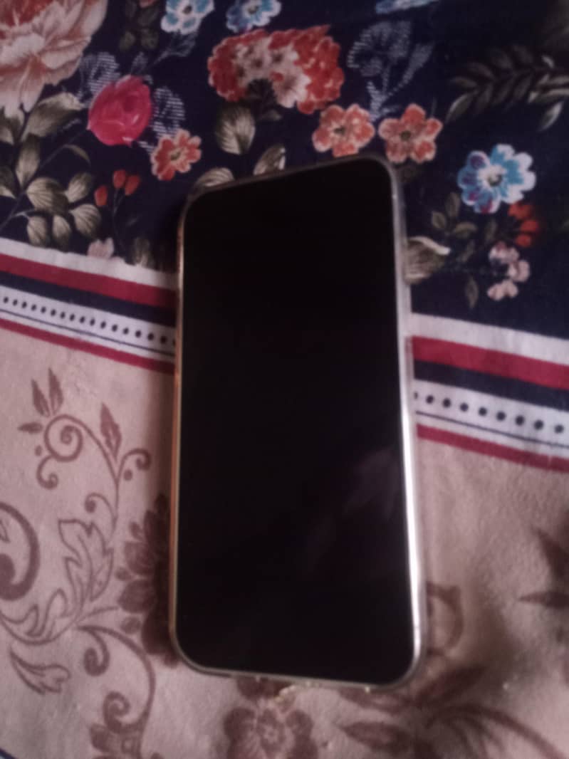 Apple iPhone 13 Pro Max 2