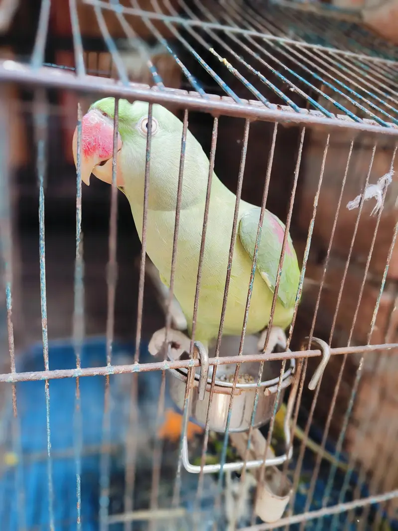 basic basic baten bhi karta hai — photo 2