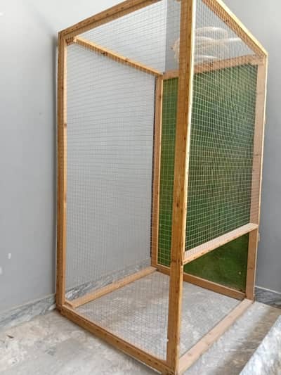 golden misri |white shamo | cages  | read ad | اشتہار پڑھیں