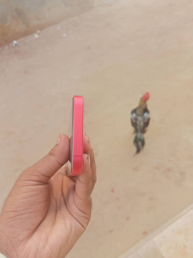 Apple iPhone 12 mini 4