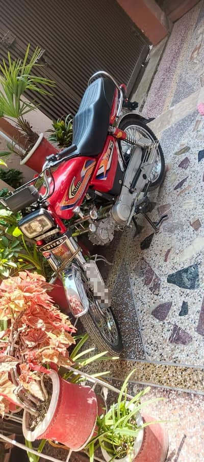Urjnt sale whtass app nmber 03409646846