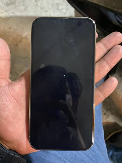 Apple iPhone 13 Pro